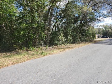 Are you looking for a view of the GOLF COURSE? This beautiful on Citrus Springs Country Club in Florida - for sale on GolfHomes.com, golf home, golf lot