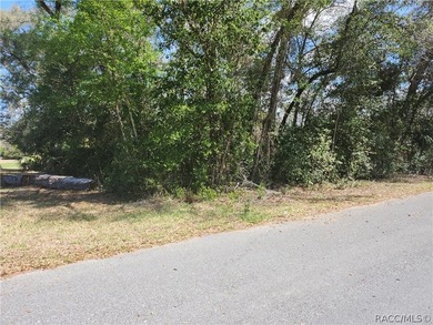 Are you looking for a view of the GOLF COURSE? This beautiful on Citrus Springs Country Club in Florida - for sale on GolfHomes.com, golf home, golf lot