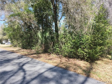 Are you looking for a view of the GOLF COURSE? This beautiful on Citrus Springs Country Club in Florida - for sale on GolfHomes.com, golf home, golf lot