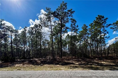 Build your Florida dream home on this prime vacant lot located on Citrus Springs Country Club in Florida - for sale on GolfHomes.com, golf home, golf lot