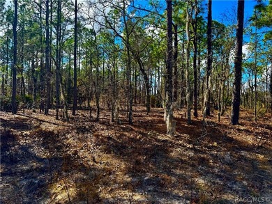 Build your Florida dream home on this prime vacant lot located on Citrus Springs Country Club in Florida - for sale on GolfHomes.com, golf home, golf lot