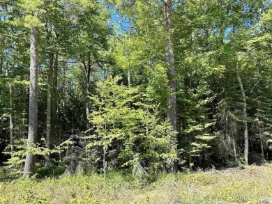 Spacious building site in Hemlock Views just west of Manistique on Stoney Point Golf Course in Michigan - for sale on GolfHomes.com, golf home, golf lot