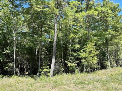 Spacious building site in Hemlock Views just west of Manistique on Stoney Point Golf Course in Michigan - for sale on GolfHomes.com, golf home, golf lot