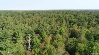 Spacious building site in Hemlock Views just west of Manistique on Stoney Point Golf Course in Michigan - for sale on GolfHomes.com, golf home, golf lot