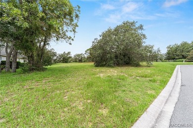 Vacant Lot in Black Diamond Ranch, one of Florida's premier on Black Diamond Ranch Golf Course in Florida - for sale on GolfHomes.com, golf home, golf lot