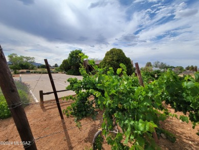 45 permitted uses for GB Zoning per county! Unique property on Shadow Mt. Country Club in Arizona - for sale on GolfHomes.com, golf home, golf lot