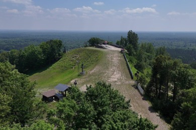 Discover your dream ski getaway in this 2-story, end-unit on Crystal Mountain Golf Course in Michigan - for sale on GolfHomes.com, golf home, golf lot