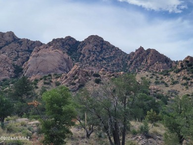 45 permitted uses for GB Zoning per county! Unique property on Shadow Mt. Country Club in Arizona - for sale on GolfHomes.com, golf home, golf lot