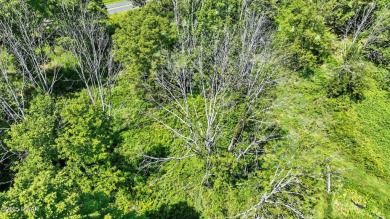 Build your dream home on this level, lightly wooded lot in The on The Hideout Golf in Pennsylvania - for sale on GolfHomes.com, golf home, golf lot