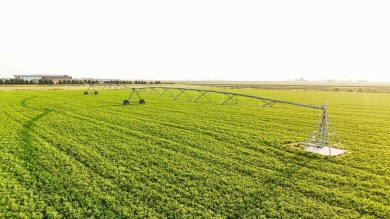 This 29.4+/- acre tract is located east of Grand Island on Jackrabbit Run Golf Course in Nebraska - for sale on GolfHomes.com, golf home, golf lot