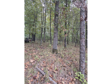 This beautiful golf course lot is only a few minutes from on Diamondhead Golf and Country Club in Arkansas - for sale on GolfHomes.com, golf home, golf lot