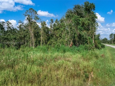 Build your ideal home in the desirable Sun N Lake community! on Sun n Lake Golf and Country Club in Florida - for sale on GolfHomes.com, golf home, golf lot