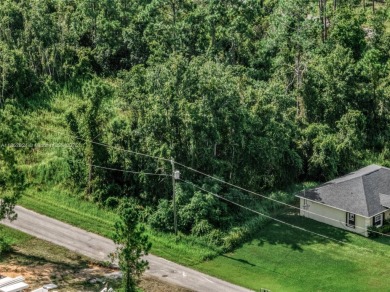 Build your ideal home in the desirable Sun N Lake community! on Sun n Lake Golf and Country Club in Florida - for sale on GolfHomes.com, golf home, golf lot