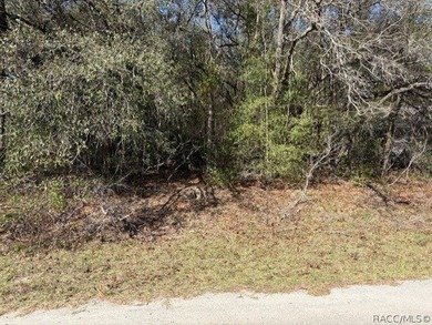 Located in the homes-only community of Citrus Springs, this on Citrus Springs Country Club in Florida - for sale on GolfHomes.com, golf home, golf lot