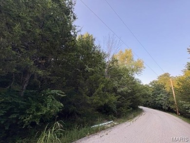 Lake Front Lot on Small Private Lake / Summer Lake! This a on Raintree Country Club in Missouri - for sale on GolfHomes.com, golf home, golf lot