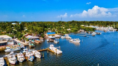 Welcome to this charming condo in El Conquistador Village, where on IMG Academies Golf and Country Club in Florida - for sale on GolfHomes.com, golf home, golf lot