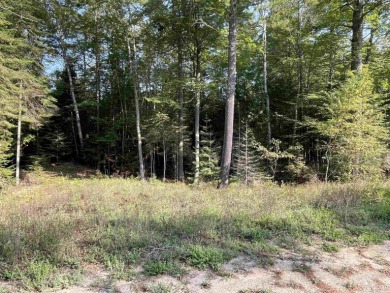 Spacious building site in Hemlock Views just west of Manistique on Stoney Point Golf Course in Michigan - for sale on GolfHomes.com, golf home, golf lot