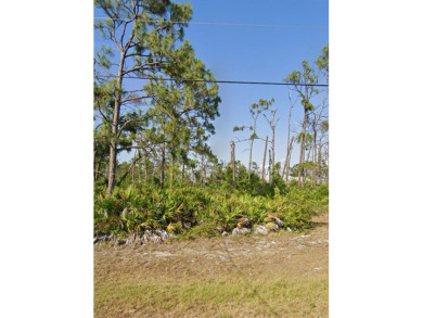 Unmissable Opportunity in Rotonda Lakes!

Land ready for you on Rotonda Golf and Country Club - Long Marsh  in Florida - for sale on GolfHomes.com, golf home, golf lot