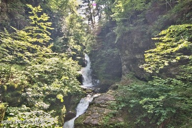 Gorgeous complete renovation of charming, historic home in Buck on Buck Hill Golf Club  in Pennsylvania - for sale on GolfHomes.com, golf home, golf lot