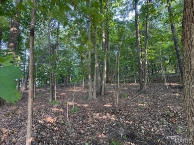 Build Your Dream Getaway on a 2nd Tier Lor Overlooking Autumn on Raintree Country Club in Missouri - for sale on GolfHomes.com, golf home, golf lot