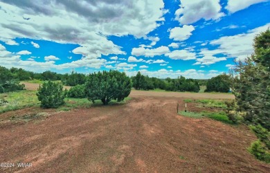 ''Cozy Cabin'' close to Sliver Creek Golf Course and White Mtn on Silver Creek Golf Club in Arizona - for sale on GolfHomes.com, golf home, golf lot