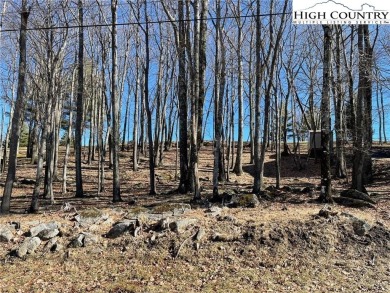 Great laying wooded lot overlooking the Beech Mountain Club golf on Beech Mountain Club in North Carolina - for sale on GolfHomes.com, golf home, golf lot