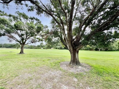 Come see this 3-bedroom 2-bathroom 2 car garage block home on Babe Zaharias Golf Course in Florida - for sale on GolfHomes.com, golf home, golf lot