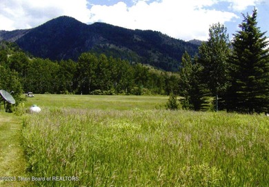 Nestled in the heart of Star Valley Ranch, this premium golf on Star Valley RV Golf Course in Wyoming - for sale on GolfHomes.com, golf home, golf lot