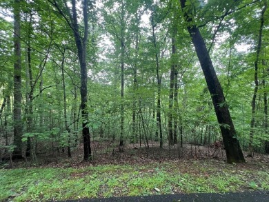 Nice lot with potential for an excellent view in Mountain on Mountain Harbour Golf Club in North Carolina - for sale on GolfHomes.com, golf home, golf lot