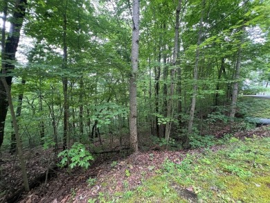 Nice lot with potential for an excellent view in Mountain on Mountain Harbour Golf Club in North Carolina - for sale on GolfHomes.com, golf home, golf lot