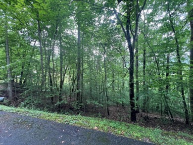 Nice lot with potential for an excellent view in Mountain on Mountain Harbour Golf Club in North Carolina - for sale on GolfHomes.com, golf home, golf lot