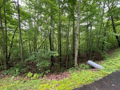 Nice lot with potential for an excellent view in Mountain on Mountain Harbour Golf Club in North Carolina - for sale on GolfHomes.com, golf home, golf lot
