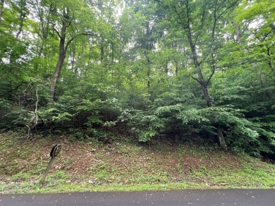 Nice lot with potential for an excellent view in Mountain on Mountain Harbour Golf Club in North Carolina - for sale on GolfHomes.com, golf home, golf lot
