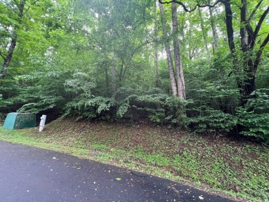 Nice lot with potential for an excellent view in Mountain on Mountain Harbour Golf Club in North Carolina - for sale on GolfHomes.com, golf home, golf lot