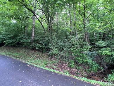 Nice lot with potential for an excellent view in Mountain on Mountain Harbour Golf Club in North Carolina - for sale on GolfHomes.com, golf home, golf lot