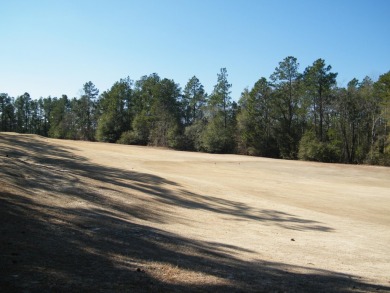 FAIRWAY SHOWPLACE in WOODSIDE - Great for entertaining friends & on Woodside Plantation Country Club in South Carolina - for sale on GolfHomes.com, golf home, golf lot