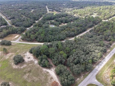 Buildable Lot in Citrus Springs presents an excellent on Citrus Springs Country Club in Florida - for sale on GolfHomes.com, golf home, golf lot