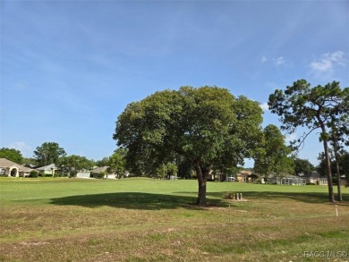 FANTASTIC 3 BEDROOM / 2 BATH GREAT ROOM PLAN WITH HUGE FAMILY on Twisted Oaks Golf Club in Florida - for sale on GolfHomes.com, golf home, golf lot
