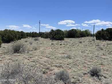 0.34 acre on Dawn Lane in Concho Valley. 
Paved roads
This lot on Concho Valley Country Club in Arizona - for sale on GolfHomes.com, golf home, golf lot