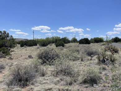 0.34 acre on Dawn Lane in Concho Valley. 
Paved roads
This lot on Concho Valley Country Club in Arizona - for sale on GolfHomes.com, golf home, golf lot