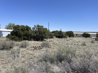 0.34 acre on Dawn Lane in Concho Valley. 
Paved roads
This lot on Concho Valley Country Club in Arizona - for sale on GolfHomes.com, golf home, golf lot