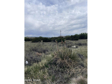 0.34 acre on Dawn Lane in Concho Valley. 
Paved roads
This lot on Concho Valley Country Club in Arizona - for sale on GolfHomes.com, golf home, golf lot