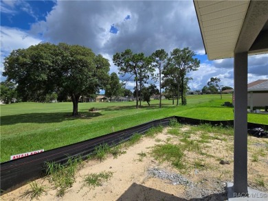 FANTASTIC 3 BEDROOM / 2 BATH GREAT ROOM PLAN WITH HUGE FAMILY on Twisted Oaks Golf Club in Florida - for sale on GolfHomes.com, golf home, golf lot