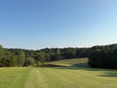 Build Your Dream Getaway Near Autumn Lake on Raintree Golf on Raintree Country Club in Missouri - for sale on GolfHomes.com, golf home, golf lot