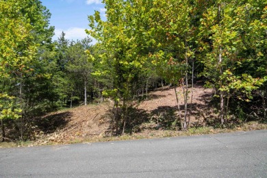 Don't miss this rare chance to build in the highly desirable on Blacksburg Country Club in Virginia - for sale on GolfHomes.com, golf home, golf lot