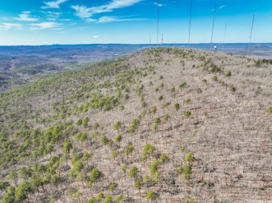 This property is approximately 77 acres in West Little Rock in on Chenal Country Club - Bear Den Mountain in Arkansas - for sale on GolfHomes.com, golf home, golf lot