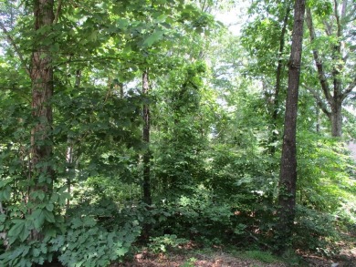 BEAUTIFUL LOT IN GATED GOLF COURSE COMMUNITY IN THE NC on Chatuge Shores Golf Course in North Carolina - for sale on GolfHomes.com, golf home, golf lot