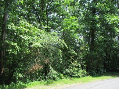 BEAUTIFUL LOT IN GATED GOLF COURSE COMMUNITY IN THE NC on Chatuge Shores Golf Course in North Carolina - for sale on GolfHomes.com, golf home, golf lot