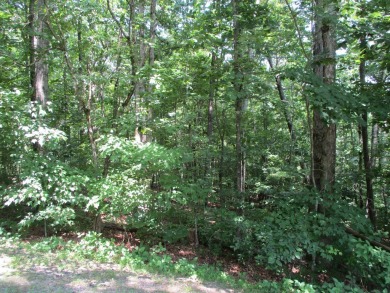 BEAUTIFUL LOT IN GATED GOLF COURSE COMMUNITY IN THE NC on Chatuge Shores Golf Course in North Carolina - for sale on GolfHomes.com, golf home, golf lot