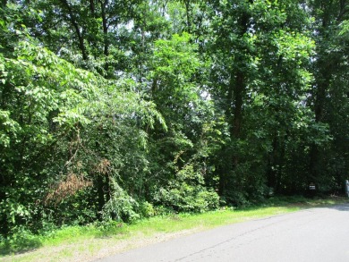 BEAUTIFUL LOT IN GATED GOLF COURSE COMMUNITY IN THE NC on Chatuge Shores Golf Course in North Carolina - for sale on GolfHomes.com, golf home, golf lot